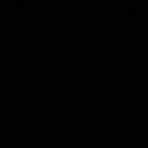 Meet your Posher, Brady